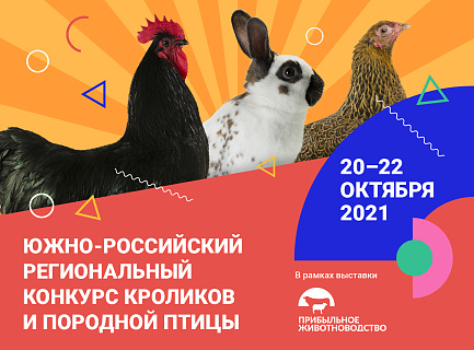 20–22 октября 2021 года в рамках выставки «Прибыльное животноводство» пройдет Южно-Российский региональный конкурс кроликов и породной птицы